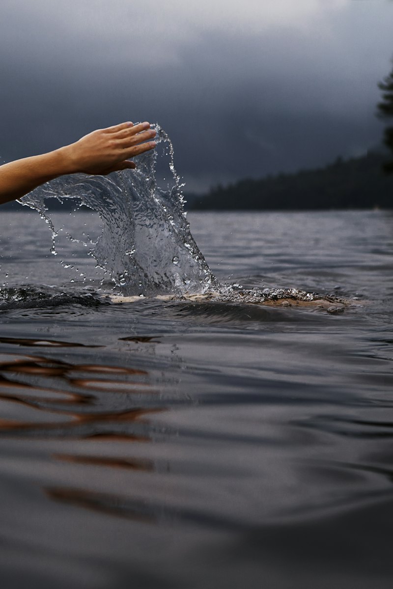 Natación