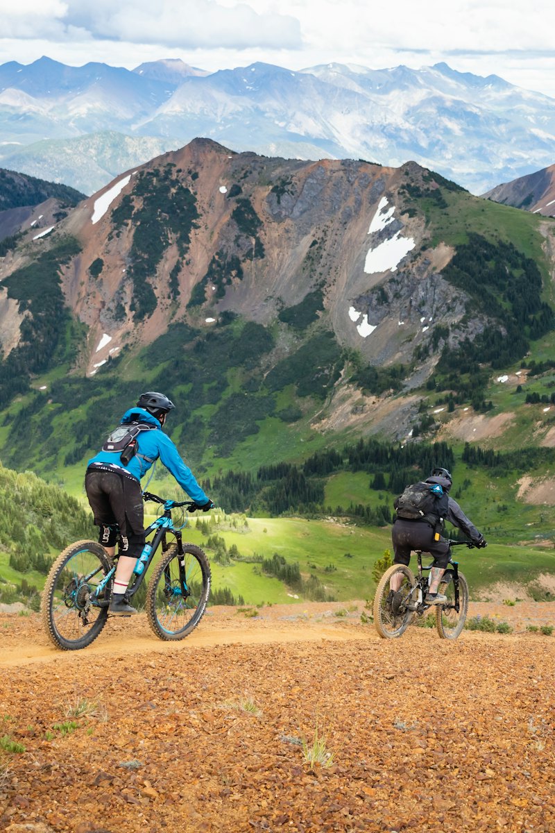 Montaña: bicicletas MTB